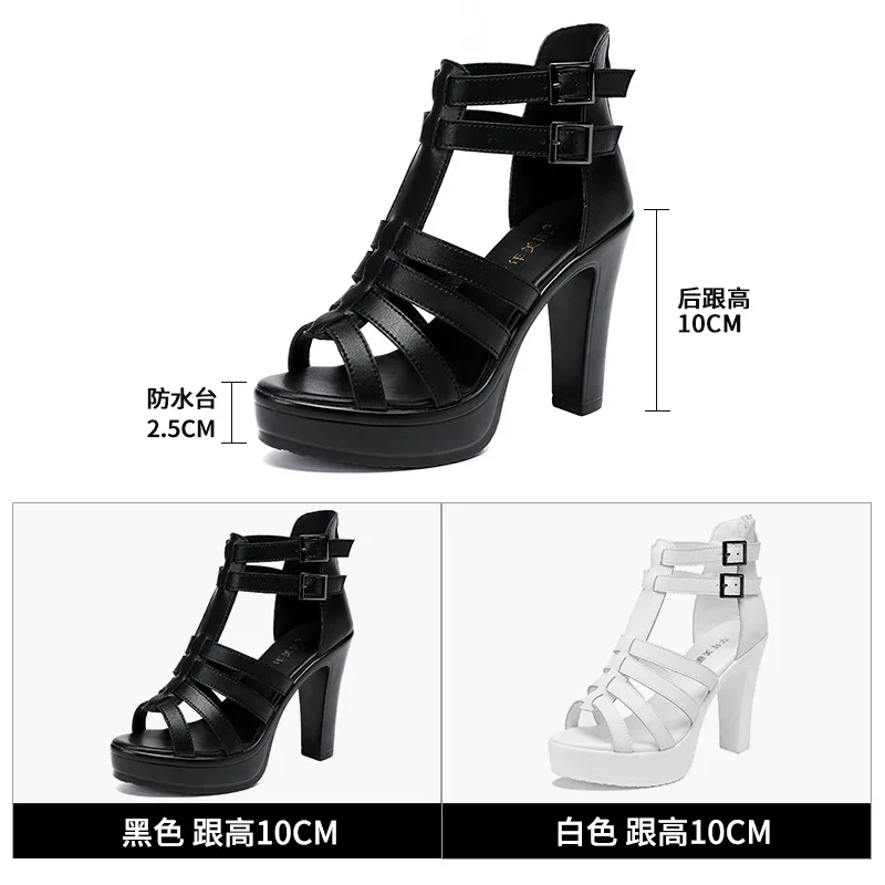 Gladiator Ladies Shoe for Wome - Summer Clothing Sale review and price
